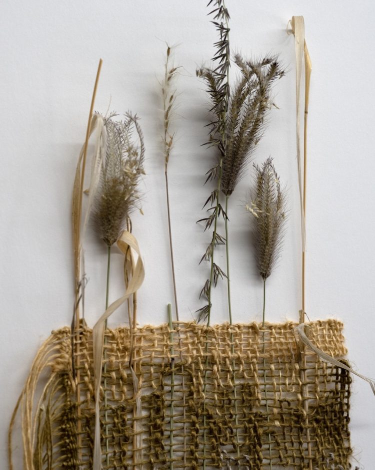Molly Elkind, Woven Grass Study (detail), 2022. 48cm x 17cm (19” x 6.5”). Weaving. Linen, native New Mexico grasses. Photo: Sam Elkind